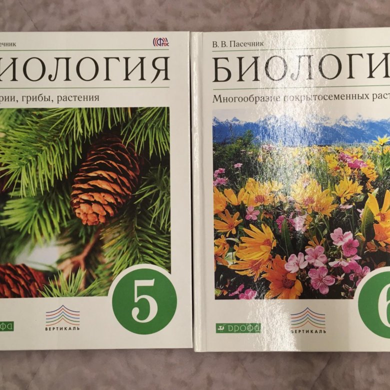 Учебник по биологии пасечник. 6 Класс Пасечник в.в. «биология. Многообразие растений»;. Пасечник биология 6. Пасечник в. в. биология. 6 Класс // Дрофа.. Биология 6 класс биология Пасечник.