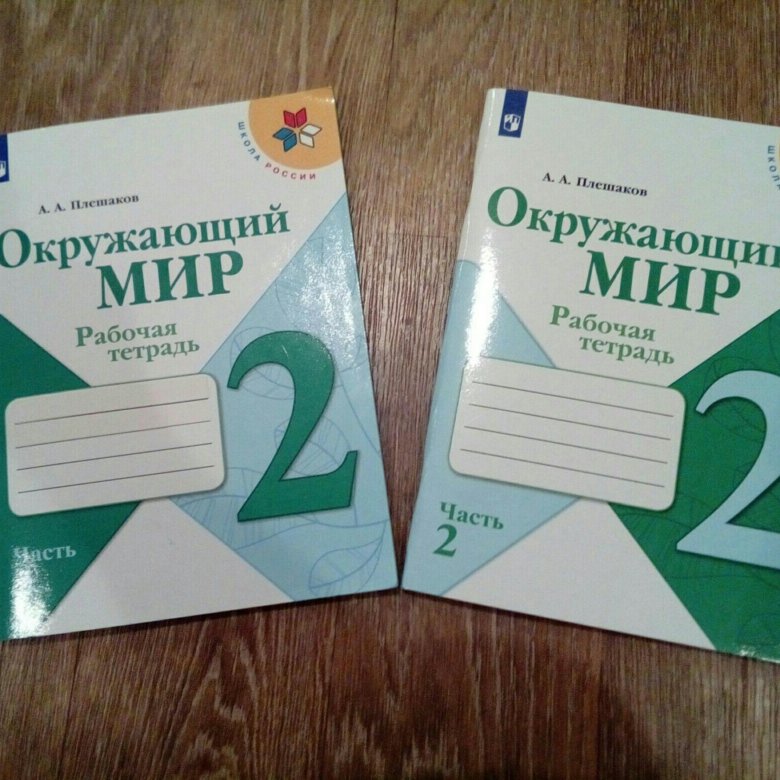 Нарисуй в какие игры ты любишь играть весной окружающий мир 2 класс рабочая тетрадь