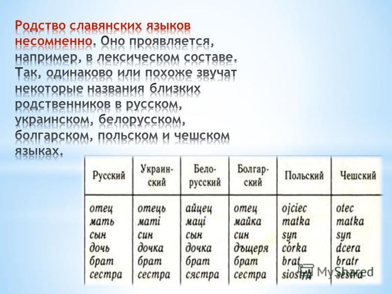 Русские слова на другом языке. Сходство славянских языков. Похожесть славянских языков таблица. Родственные языки славянскому. Родство славянских языков.