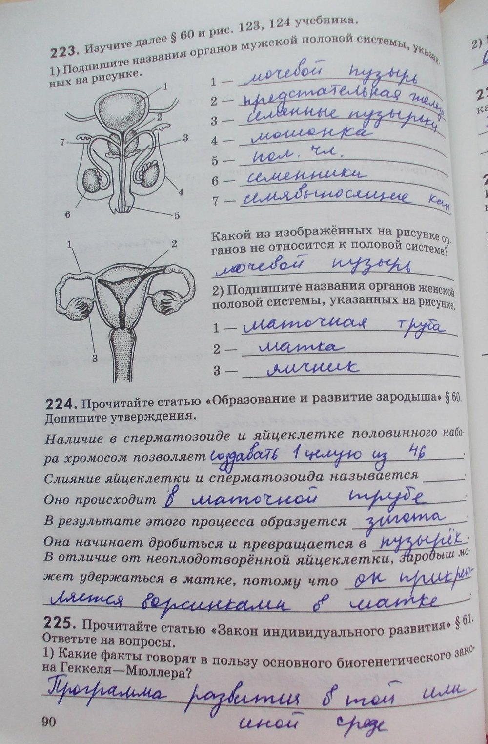 Гдз по фото биология 8 класс